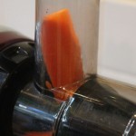 Morceau de carotte dans un modèle horizontal