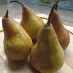 Belles poires pour faire du jus